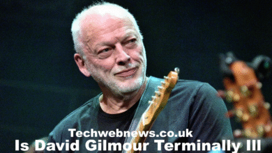 Is David Gilmour Terminally Ill