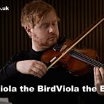 Viola the Bird