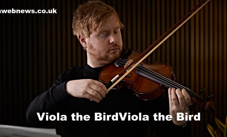 Viola the Bird
