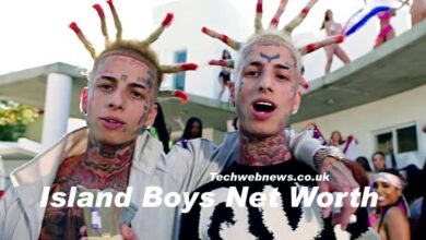 Island Boys Net Worth