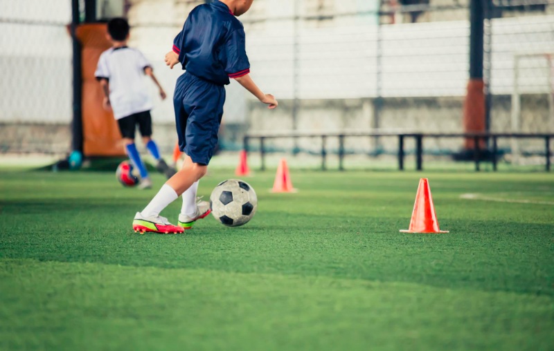 Harmonicode Sports