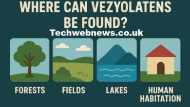 Where Can Vezyolatens Be Found