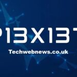 P13X13T
