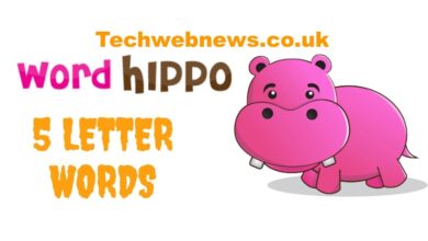 Word Hippo 5 Letter Words