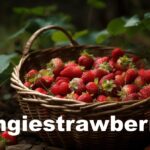 Omgiestrawberry