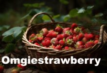 Omgiestrawberry