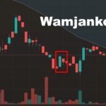Wamjankoviz