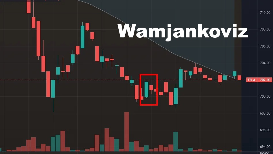 Wamjankoviz